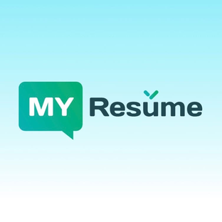 Статистика Дзен My Resume