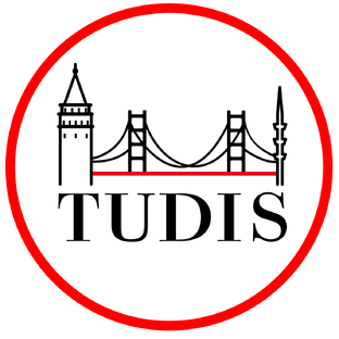 Статистика Дзен ВСЕ из турецких сериалов TUDIS