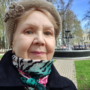 Статистика Дзен Antoninovna