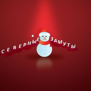 Статистика Дзен Северные Замуты | Рыбалка на Севере