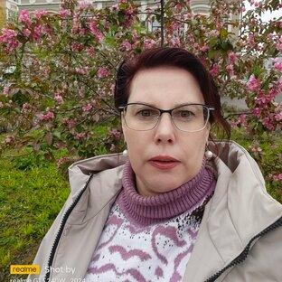 Статистика Дзен Наталья А. Б.