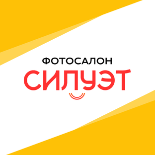 Статистика Дзен Силуэт | Фотосалон | Пермь