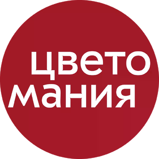 Статистика Дзен «Цветомания» - о цветах простыми словами