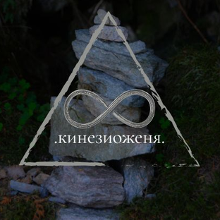 Статистика Дзен кинезиоженя