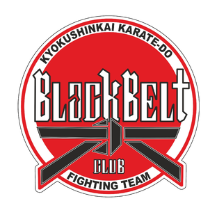 Статистика Дзен Black-Belt | Пресня Даниловский