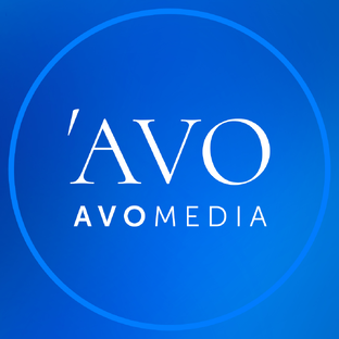 Статистика Дзен Avo media - закупка рекламы у блогеров