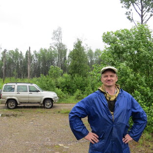 Статистика Дзен Дмитрий Афанасьев