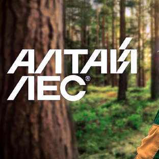 Статистика Дзен Холдинг  "Алтайлес"