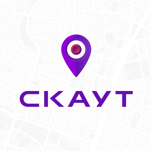 Статистика Дзен СКАУТ | Разработка программ для транспортной логистики с ГЛОНАСС, GPS и IoT