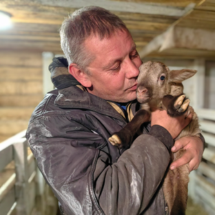 Статистика Дзен Мое Подворье