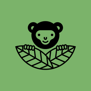 Статистика Дзен Jungle Story