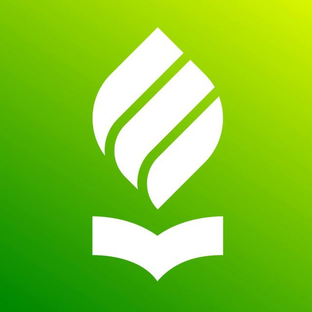 Статистика Дзен Кубанский ГАУ