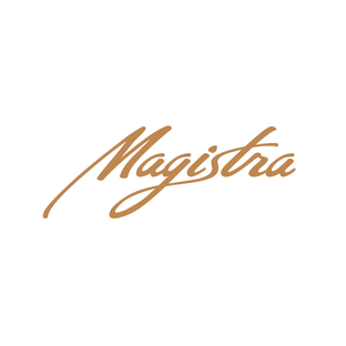 Статистика Дзен Школа массажа «Магистра»