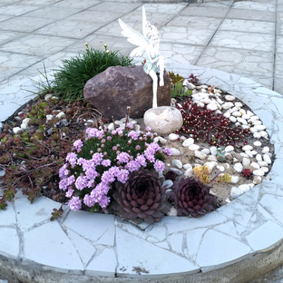 Статистика Дзен Цветы без границ! 🌺