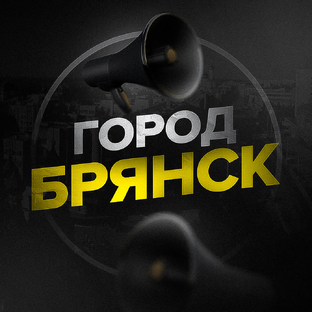 Статистика Дзен Город Брянск