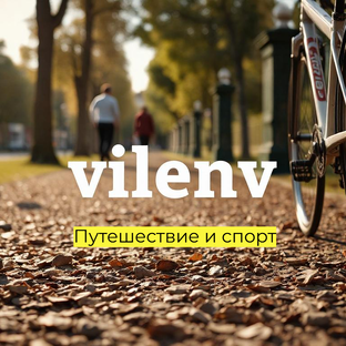Статистика Дзен VilenV