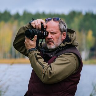 Статистика Дзен Andrey Obryadov