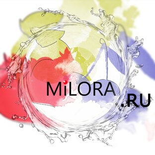 Статистика Дзен Milora.ru