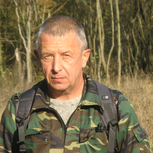 Статистика Дзен Виталий