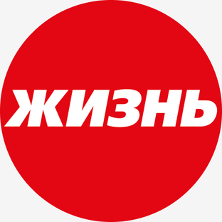 Статистика Дзен Газета Жизнь