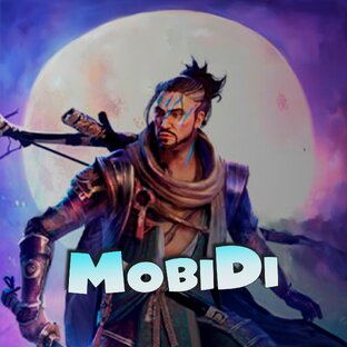 raid shadow legends MobiDI