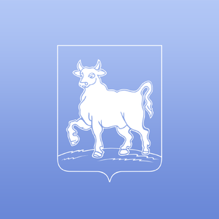 Дзен Город Сызрань статистика