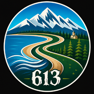 Статистика Дзен Пересвет 613