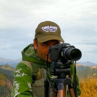 Статистика Дзен Эдуард Хижняков