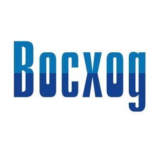 Статистика Дзен Газета "Восход"
