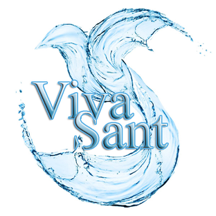 Статистика Дзен Vivasant.ru - магазин сантехники