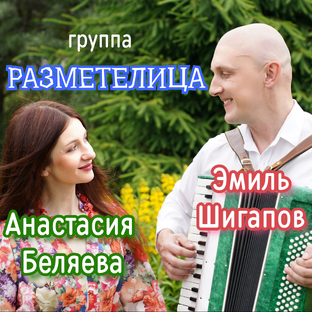 Статистика Дзен Группа Разметелица