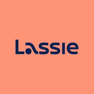 Статистика Дзен Lassie