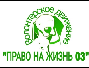 Статистика Дзен Приют Право на жизнь 03