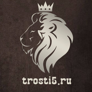 Дзен ТростиРФ trosti5ru статистика