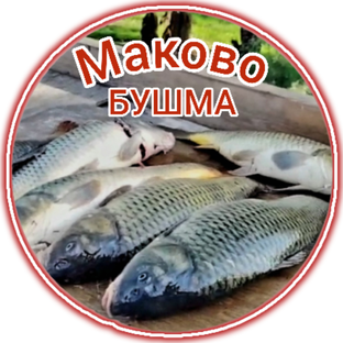 Статистика Дзен Маково/Бушма