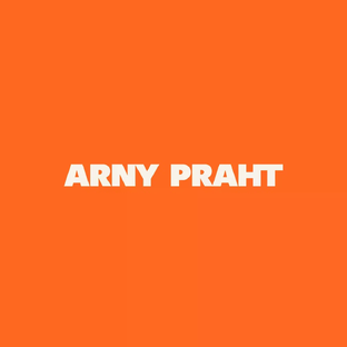 Статистика Дзен ARNY PRAHT