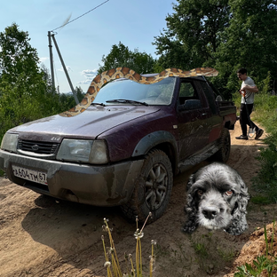 Статистика Дзен Уж, иж и Дима 