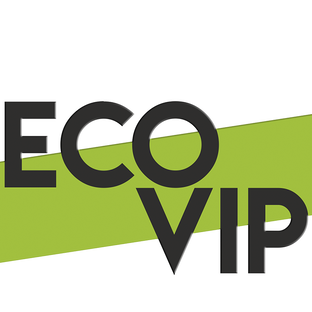 Статистика Дзен Eco-VIP