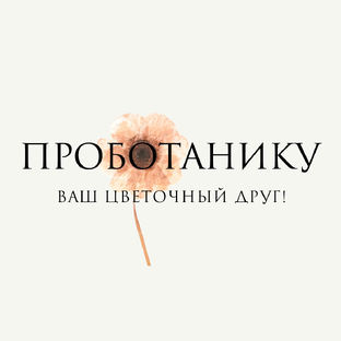Статистика Дзен "ПРОБОТАНИКУ" цветочное пространство