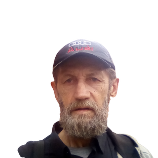 Статистика Дзен Делай Всё Сам Мастер