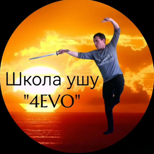 Статистика Дзен wushu4EVO/Михаил Березин