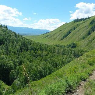 ЭТОТ ЗАМЕЧАТЕЛЬНЫЙ МИР