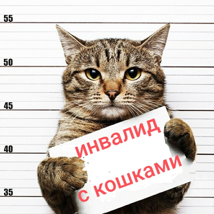 Статистика Дзен ИНВАЛИД С КОШКАМИ