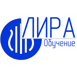 Статистика Дзен Уроки ЛИРА САПР