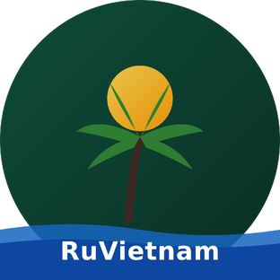 Статистика Дзен RuVietnam