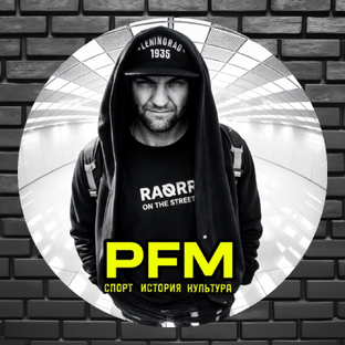 Статистика Дзен PFM