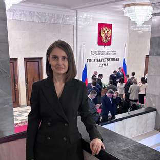 Статистика Дзен Депутат Юлия Яркина