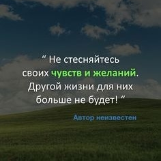 Статистика Дзен Инсайт-Озарение 