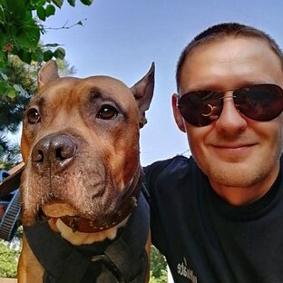Статистика Дзен Анапчанин с собакой 