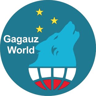 Дзен Планета Гагаузия статистика